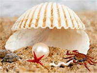 Jarmark pro lovce perel 17.12.